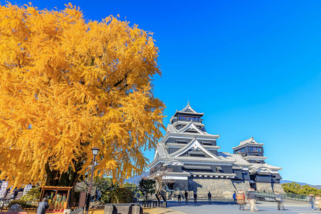 Kumamoto castle