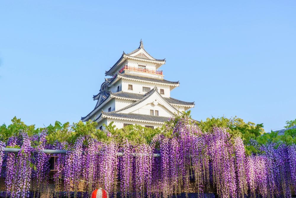 Karatsu Shrine