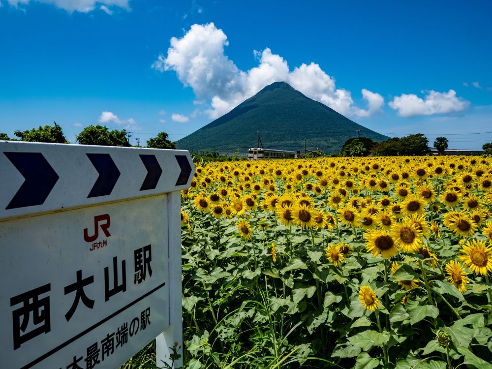 Oyama station